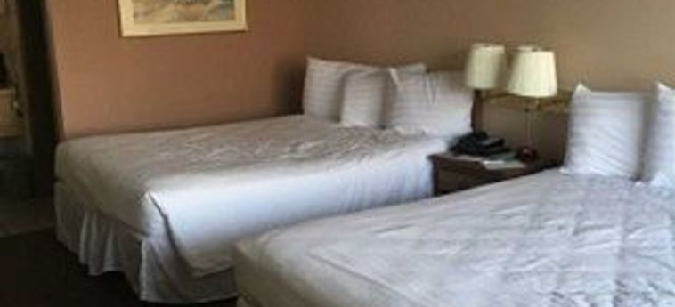 Hotel Willow Tree Inn Branson (Mo): Foto 