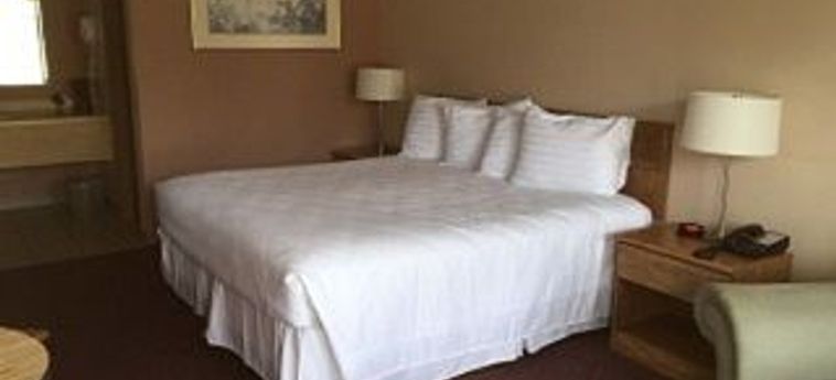 Hotel Willow Tree Inn Branson (Mo): Foto 