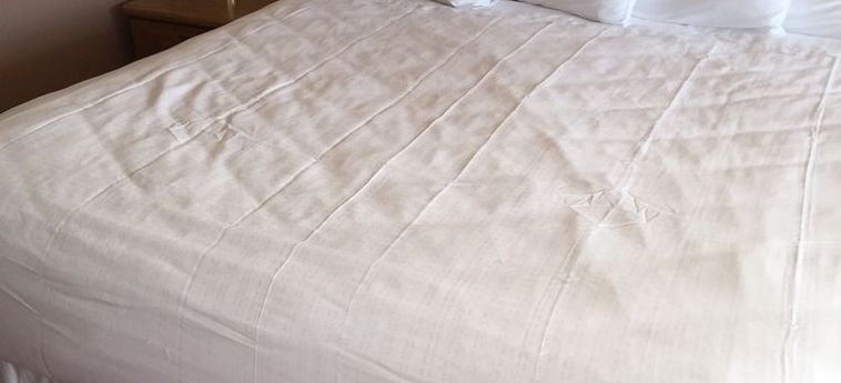 Hotel Willow Tree Inn Branson (Mo): Foto 