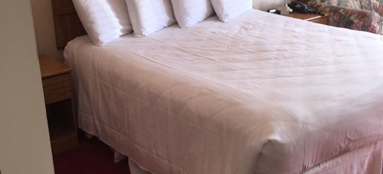 Hotel Willow Tree Inn Branson (Mo): Foto 