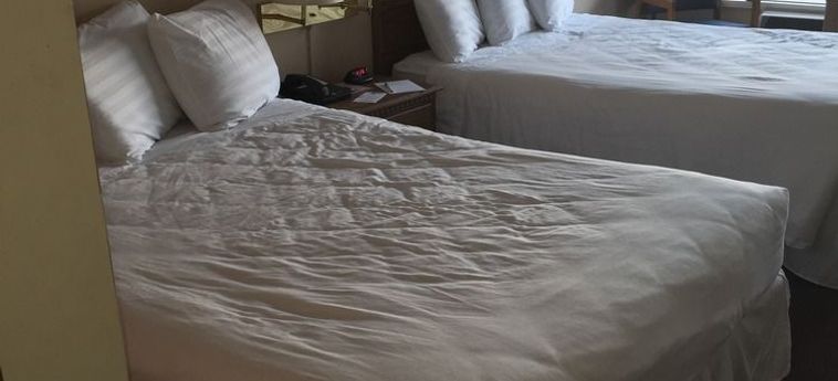 Hotel Willow Tree Inn Branson (Mo): Foto 