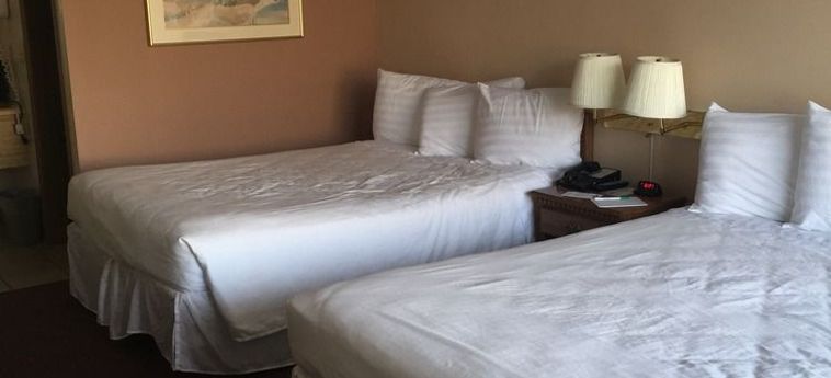 Hotel Willow Tree Inn Branson (Mo): Foto 