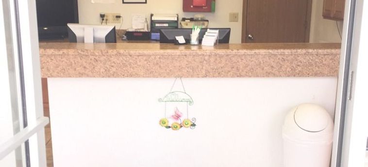 Hotel Willow Tree Inn Branson (Mo): Foto 