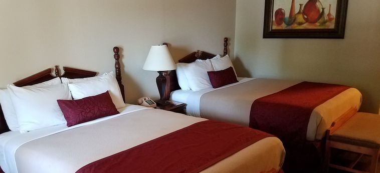 Hotel Homestead Motel Branson (Mo) : Photo 