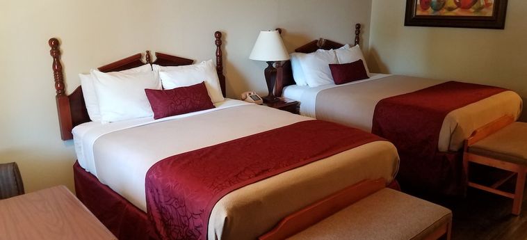 Hotel Homestead Motel Branson (Mo) : Photo 