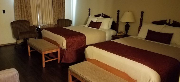 Hotel Homestead Motel Branson (Mo) : Photo 