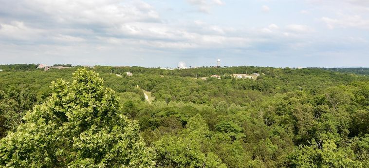 Hotel Wine Cellar:  BRANSON (MO)