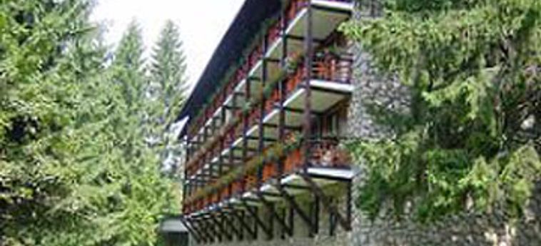 Ana Hotels Bradul Poiana Brasov Brasov: Foto 