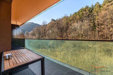 Hotel 1Bdr In Tampa Gardens Brasov: Photo 