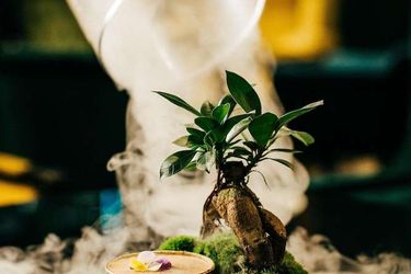 Hotel Radisson Blu Carlton Bratislava: Photo 