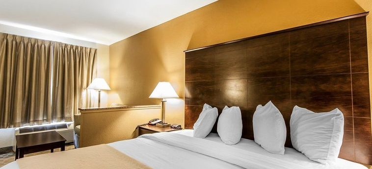 Hotel Quality Inn & Suites, Bremen:  BREMEN (GA)