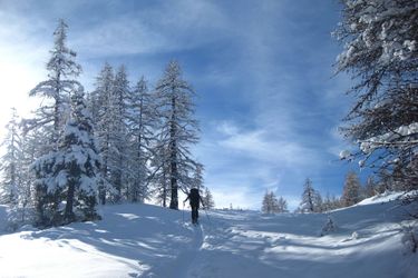 Hotel Le Bacchu Ber Briancon: Photo 
