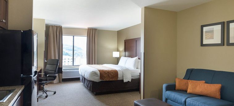 Hotel Comfort Suites Bridgeport - Clarksburg:  BRIDGEPORT (WV)