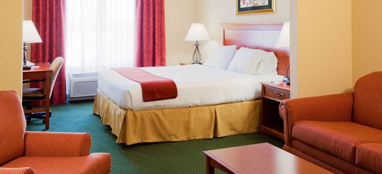 Hotel Holiday Inn Express & Suites West:  BROOKSVILLE (FL)