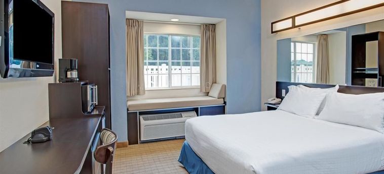 Hotel Microtel Inn & Suites By Wyndham Brooksville:  BROOKSVILLE (FL)