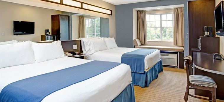 Hotel Microtel Inn & Suites By Wyndham Brooksville:  BROOKSVILLE (FL)