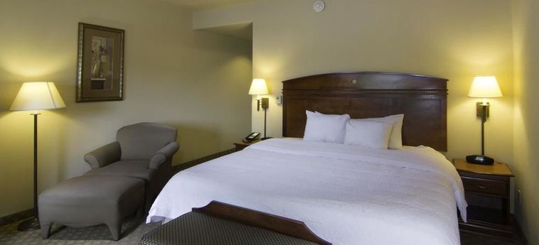 Hotel HAMPTON INN AND SUITES BROWNSVILLE