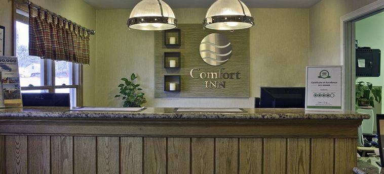 Hotel Comfort Inn Brunswick:  BRUNSWICK (ME)