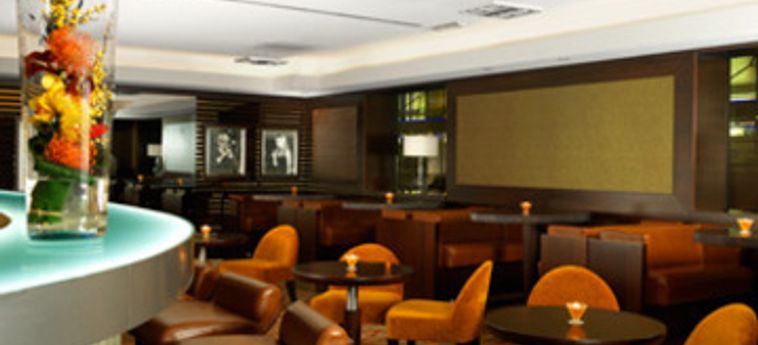 Hotel Sheraton Brussels Airport:  BRUSSEL