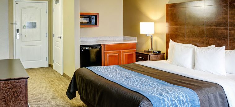 Hotel Comfort Inn & Suites:  BRYANT (AR)