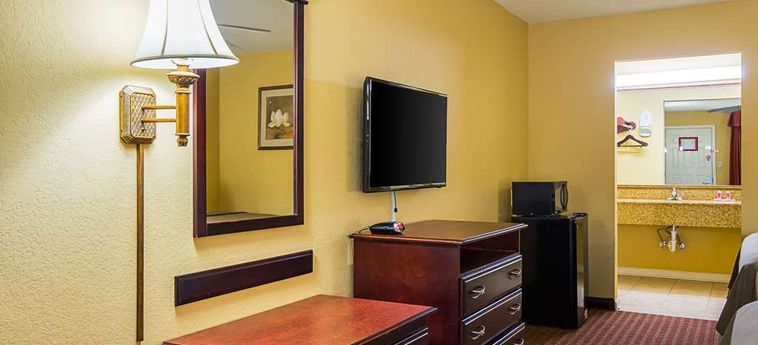 Hotel Econo Lodge Inn & Suites:  BRYANT (AR)