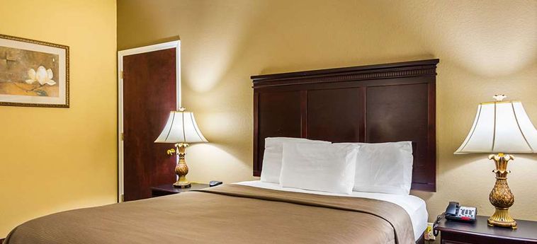 Hotel Econo Lodge Inn & Suites:  BRYANT (AR)