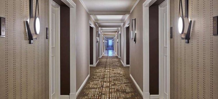 Hotel Ritz Carlton Buckhead Buckhead (Ga) : Photo 