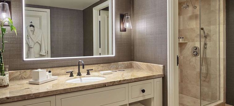 Hotel Ritz Carlton Buckhead Buckhead (Ga) : Photo 
