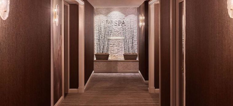 Hotel Ritz Carlton Buckhead Buckhead (Ga) : Photo 