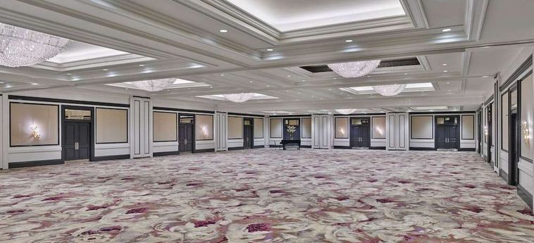 Hotel Ritz Carlton Buckhead Buckhead (Ga) : Photo 