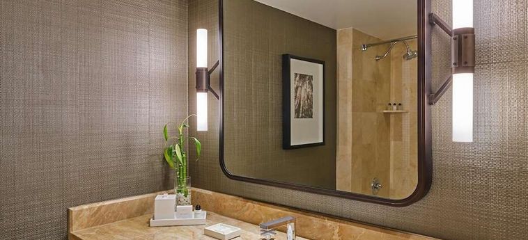 Hotel Ritz Carlton Buckhead Buckhead (Ga): Foto 