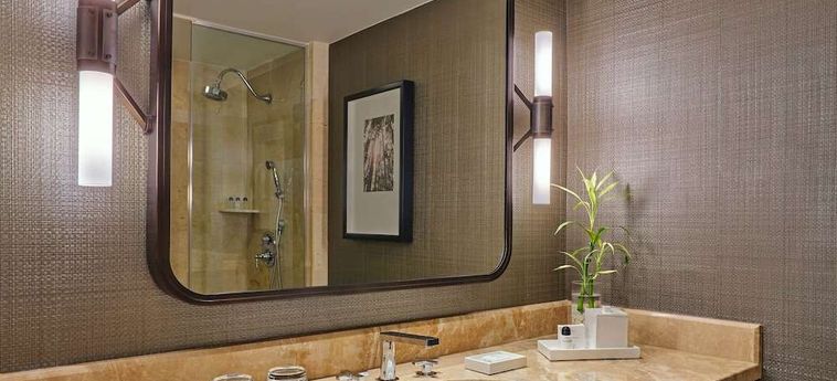 Hotel Ritz Carlton Buckhead Buckhead (Ga): Foto 