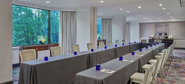 Hotel Ritz Carlton Buckhead Buckhead (Ga): Foto 
