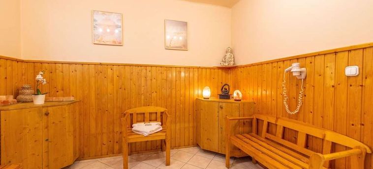Korona Pension Hotel Budapest Budapest : Photo 
