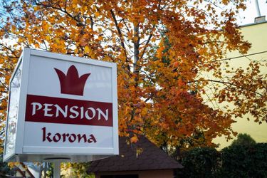 Korona Pension Hotel Budapest Budapest: Photo 