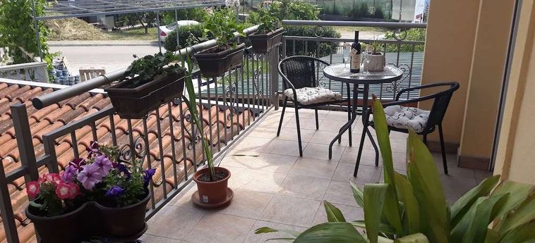 Radovic Apartments Budva: Photo 