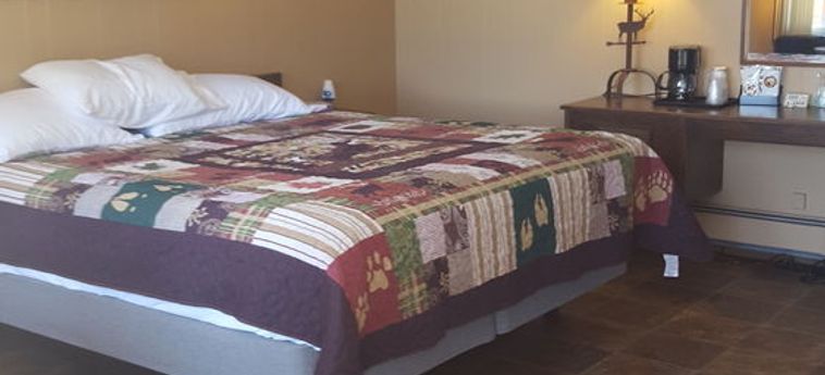 Hotel Rivers Mountain Motel:  BUENA VISTA (CO)