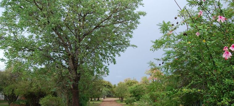 Hotel Bhedu Berry Lodge Bulawayo: Foto 