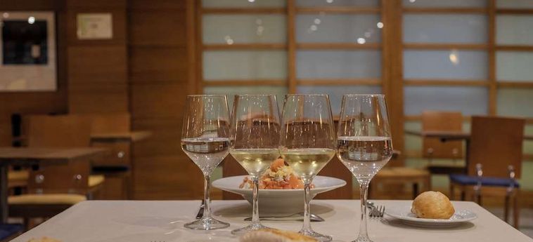 Hotel Sercotel Corona De Castilla Burgos: Photo 