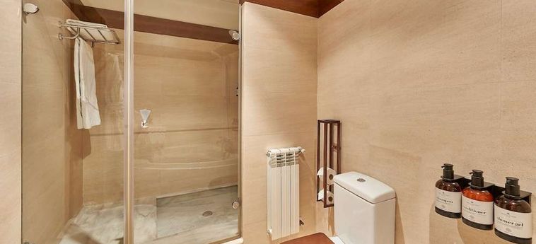 Hotel Nh Collection Palacio De Burgos Burgos : Photo 