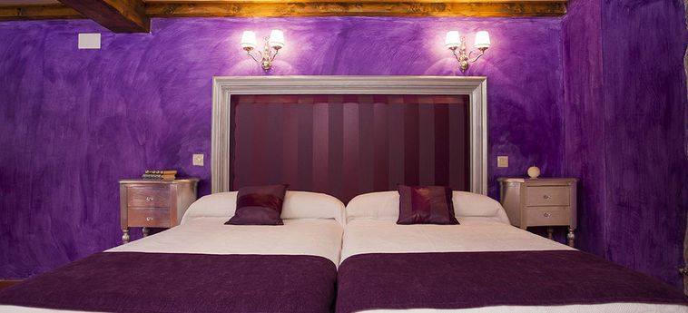Hotel Rural La Torre De Bisjueces Burgos: Foto 
