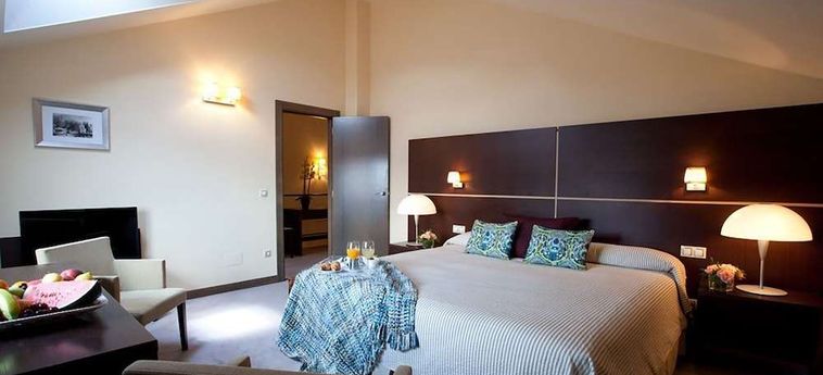 Hotel Rice Palacio De Los Blasones Burgos : Photo 