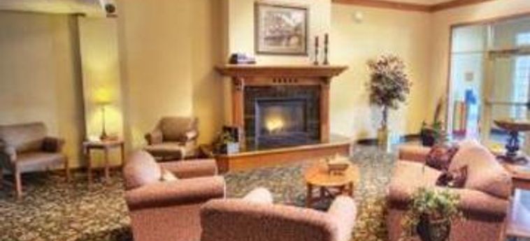 Hotel Comfort Suites:  BURLINGTON (MA)