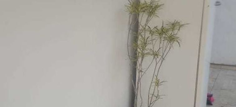 Hotel Divino Hospedagem E Pousada Buzios: Foto 