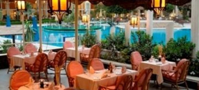 Hotel Pyramids Park Resort:  CAIRE