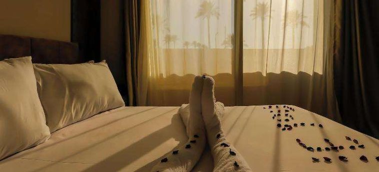 Hotel Taj Pyramids View Inn Caire : Photo 
