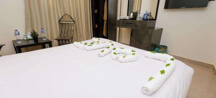 Hotel Taj Pyramids View Inn Caire : Photo 