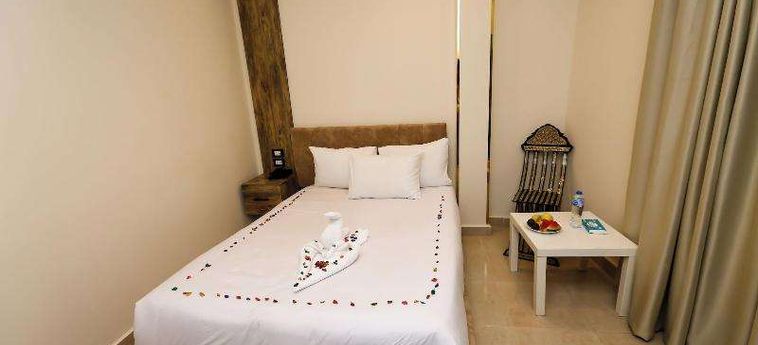 Hotel Taj Pyramids View Inn Caire : Photo 