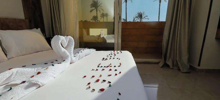 Hotel Taj Pyramids View Inn Cairo: Photo 