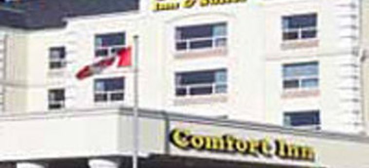 Hotel Comfort Inn & Suites South:  CALGARY